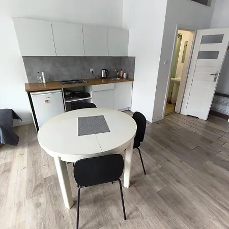 Apartment Rybaki 15 Poznan